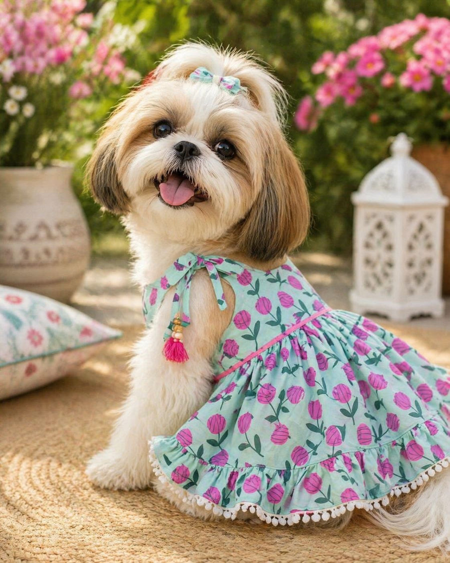 Tulip Dress