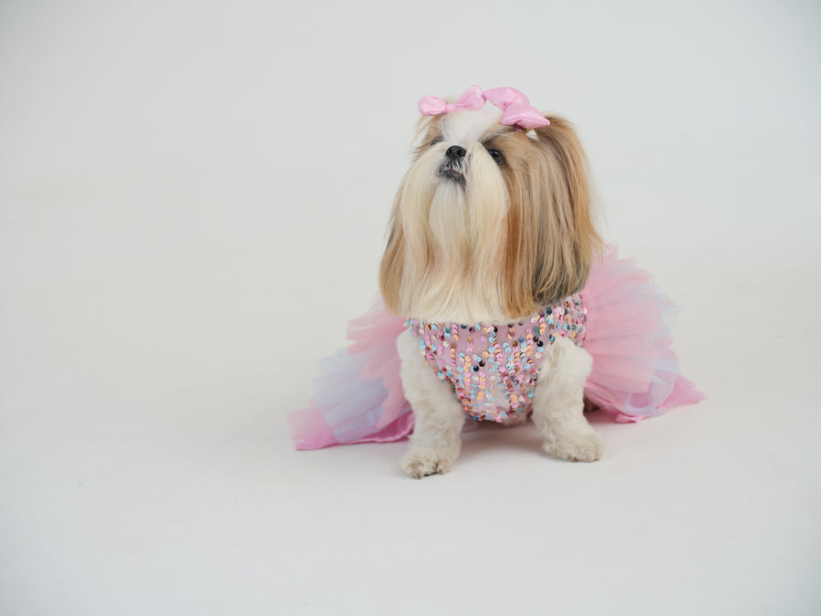 Unicorn Tutu Dress