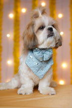 Go Away Blues Bandana