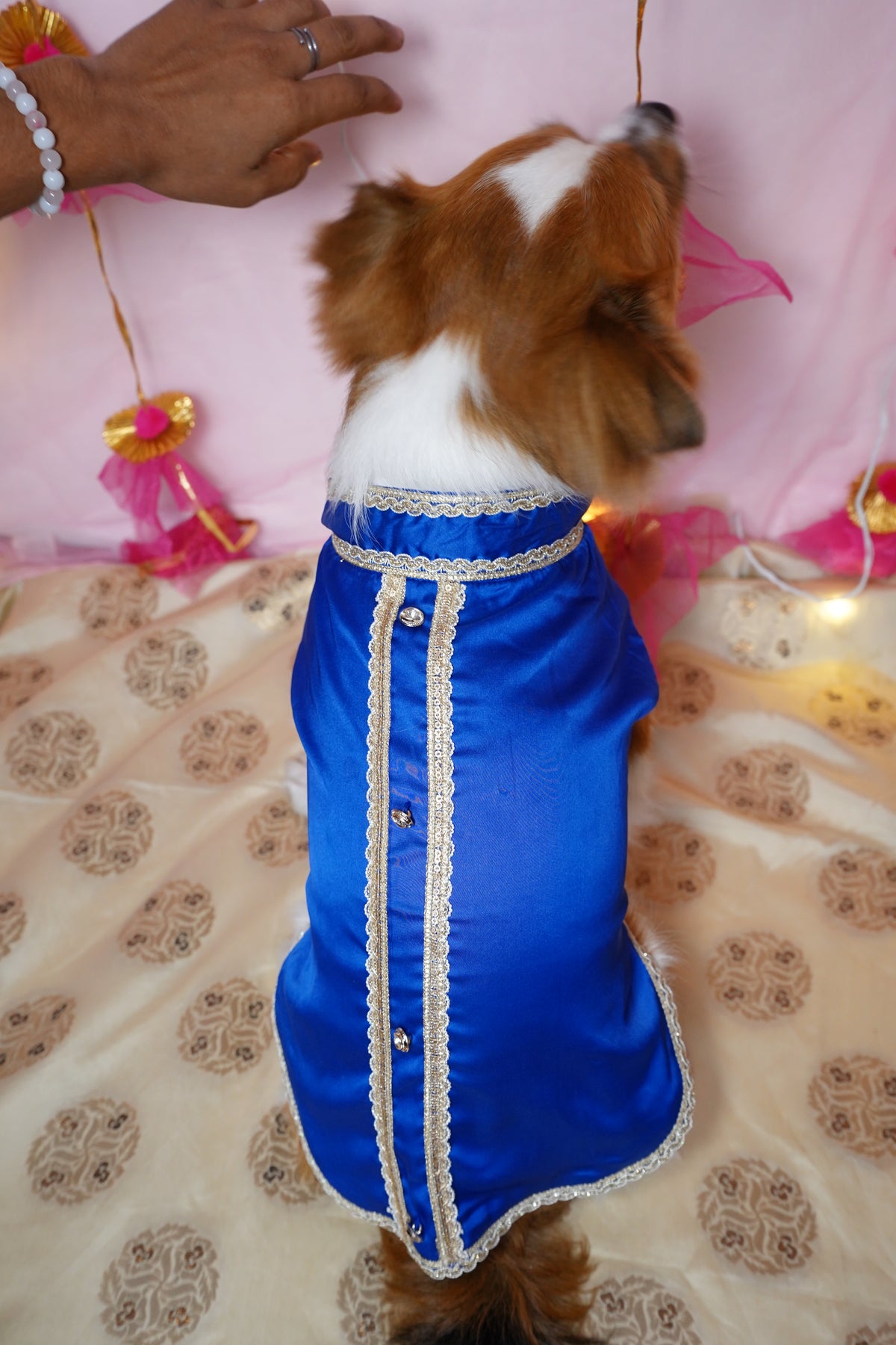 Neelam Sherwani