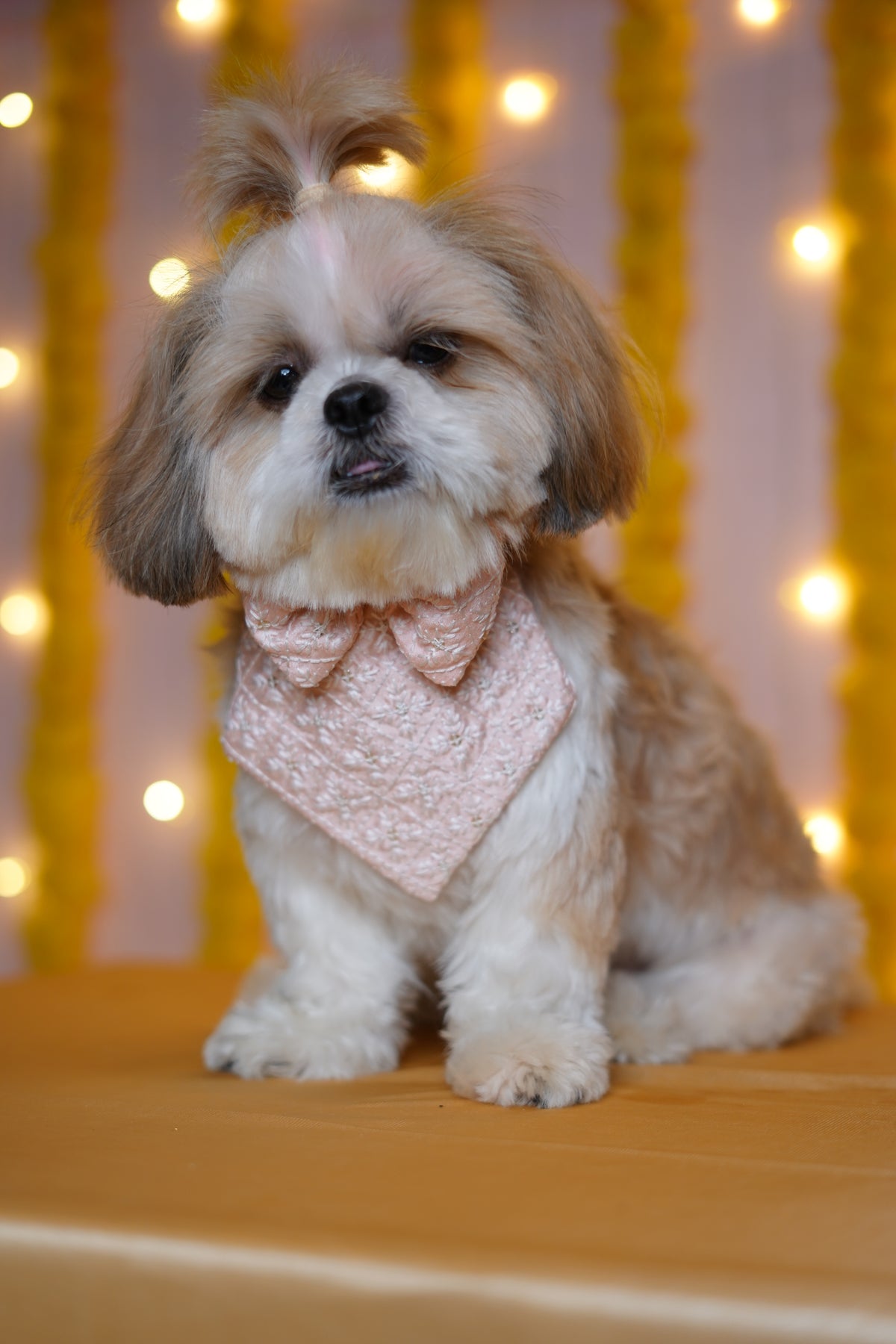 Blossom Bandana