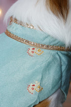 Firoza Sherwani