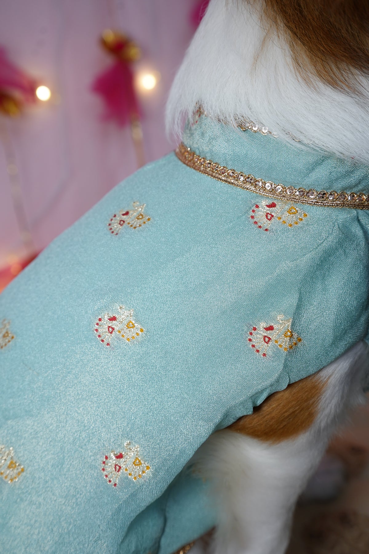 Firoza Sherwani