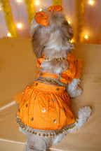 Kesariya Lehenga