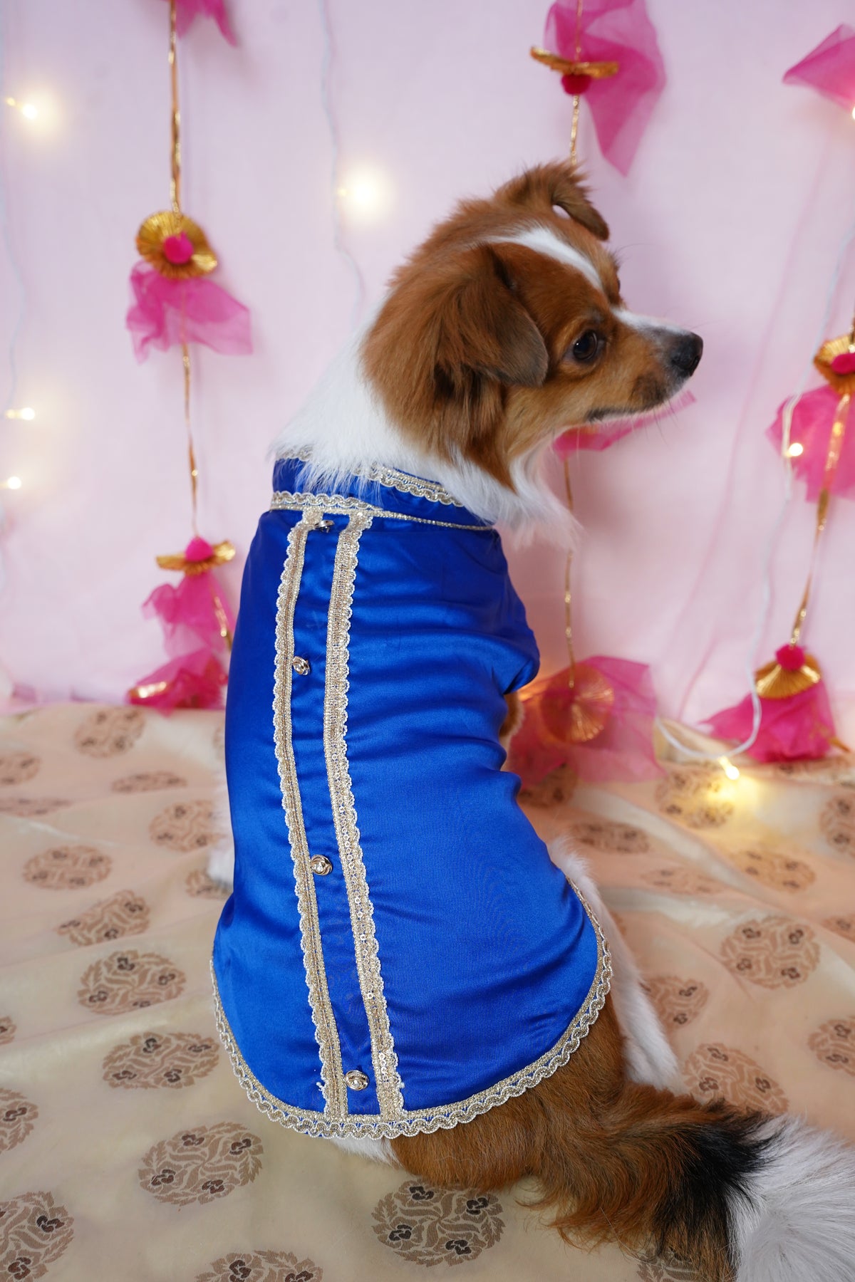 Neelam Sherwani