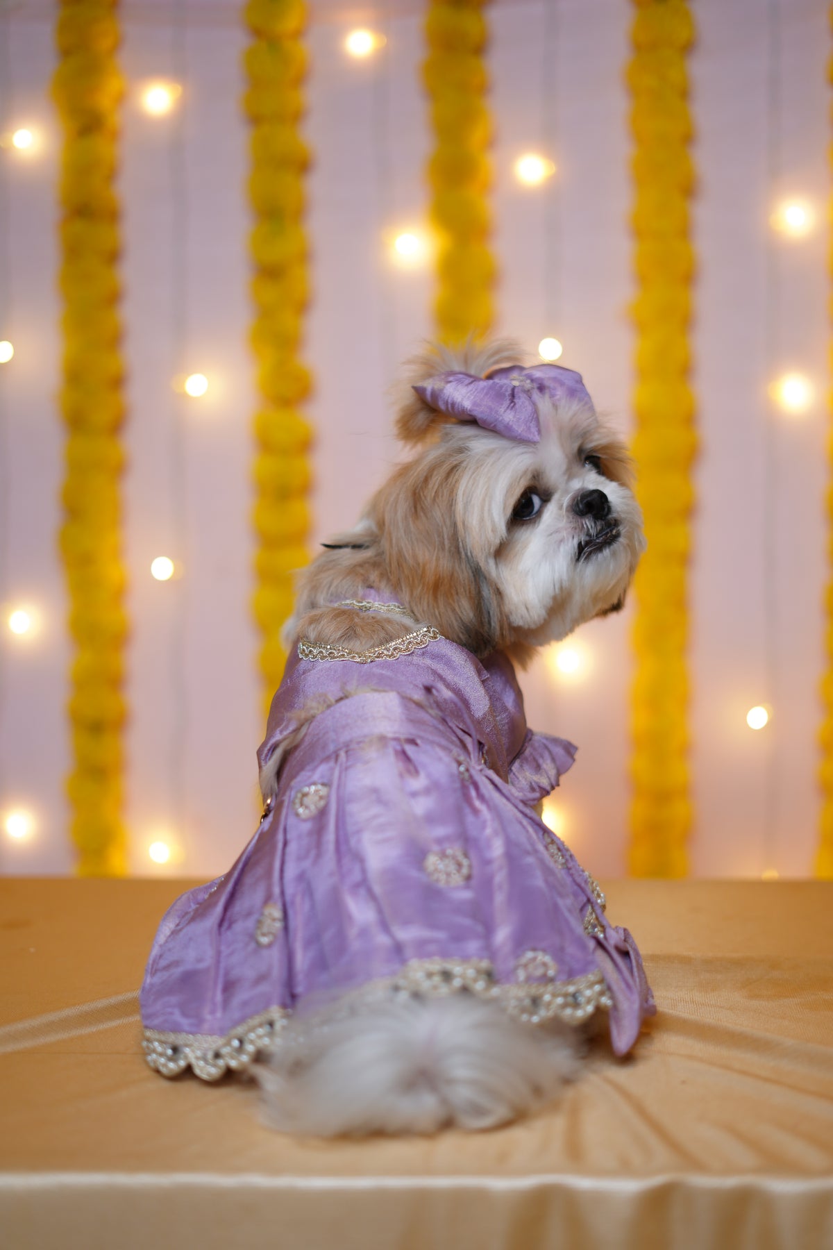 Lavender Heart Lehenga