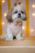Blossom Bandana