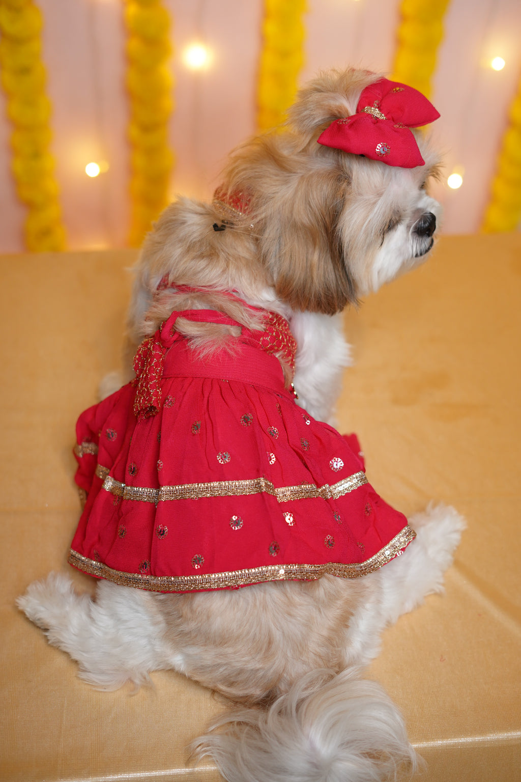 Gulabo Lehenga