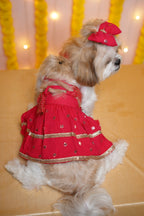 Gulabo Lehenga