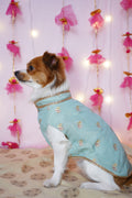 Firoza Sherwani