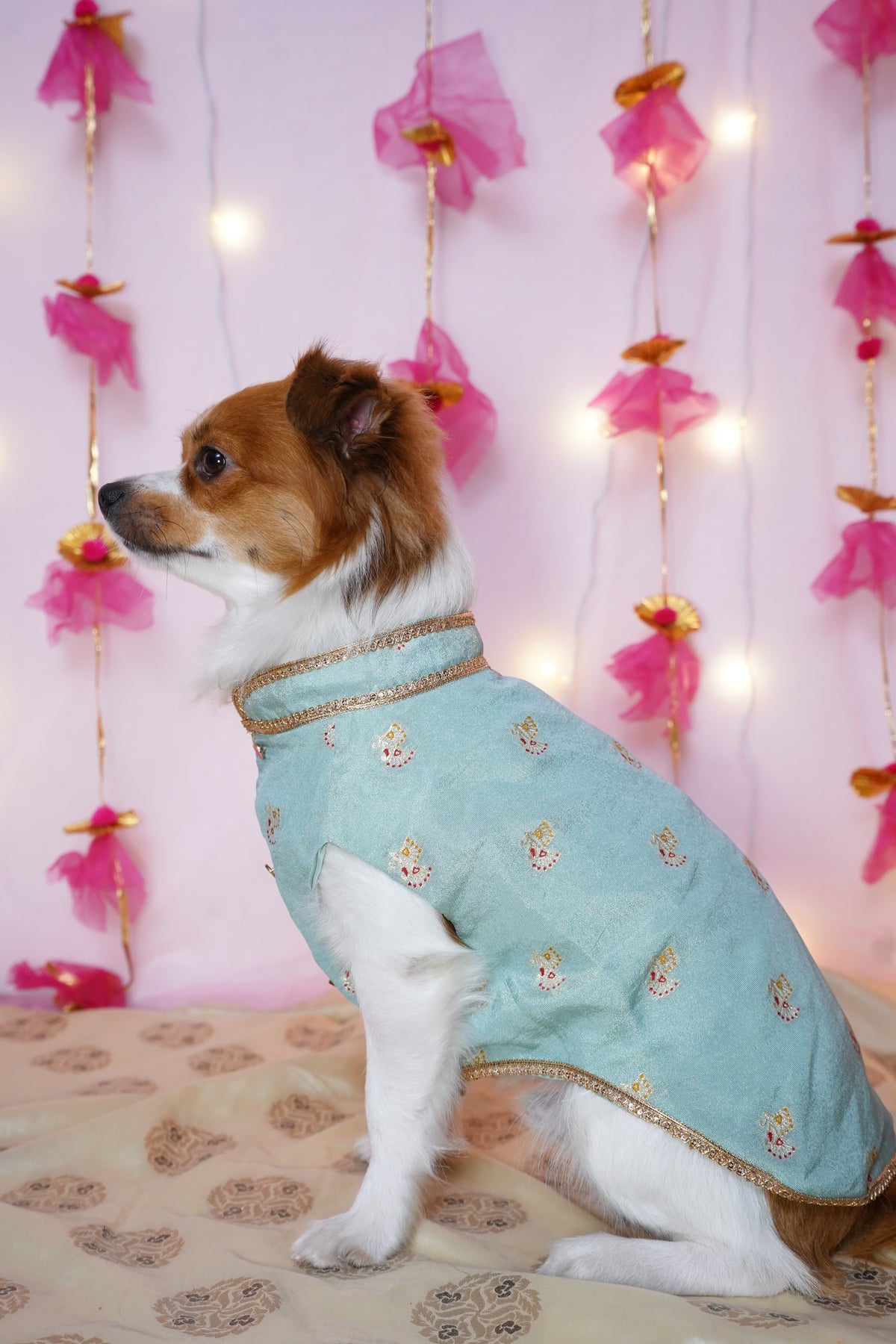 Firoza Sherwani