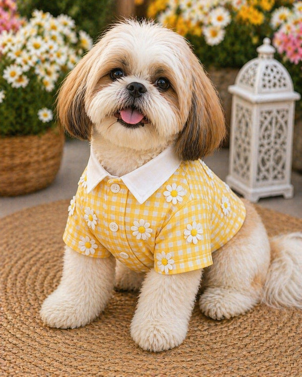 Daisy Sunshine Shirt