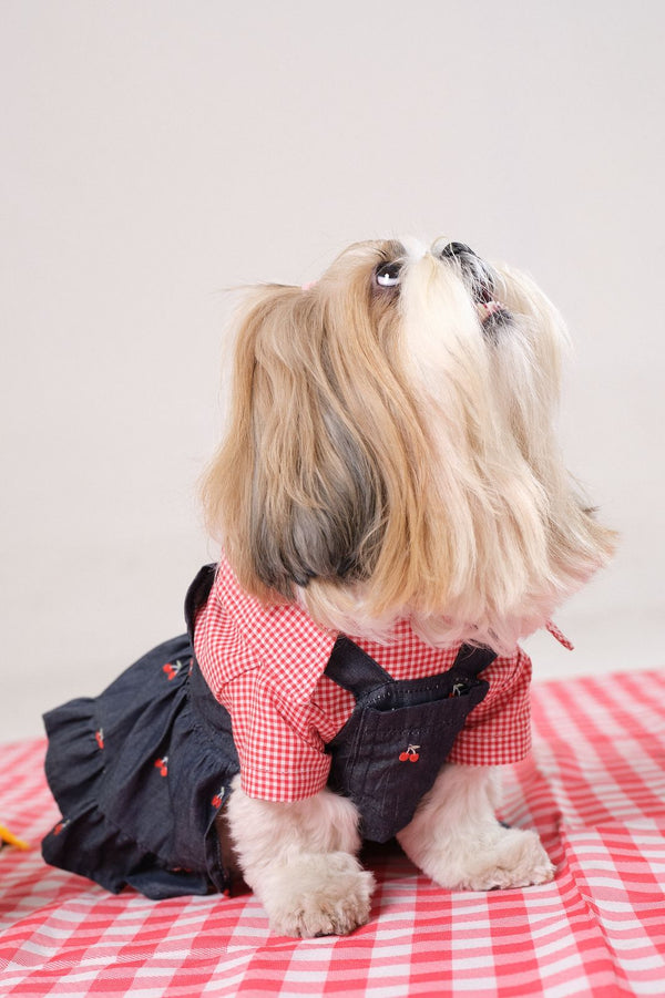 Denim Cherry Dungaree Dress