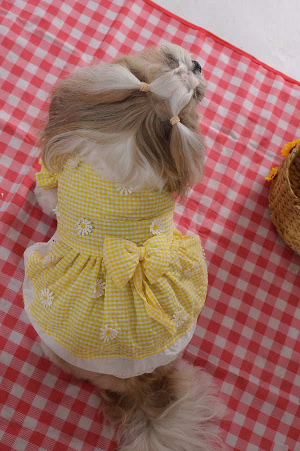Daisy Sunshine Dress