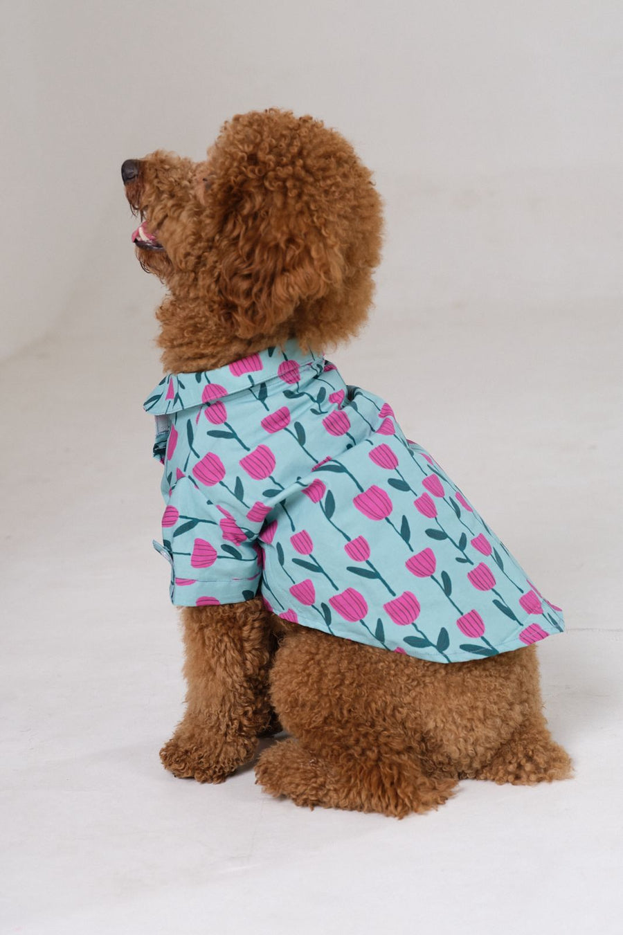 Tulip Shirt