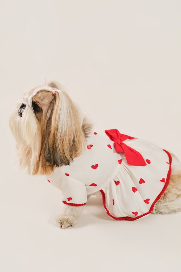 Little Hearts Dress