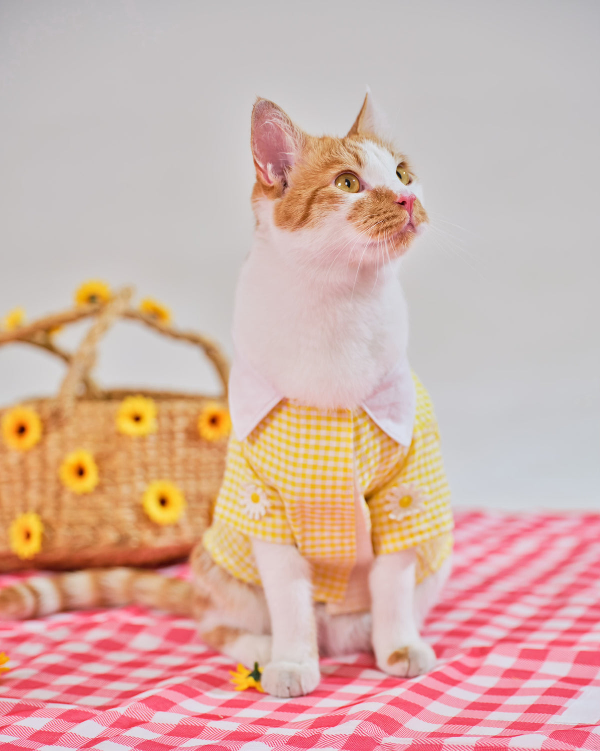 Daisy Sunshine Shirt