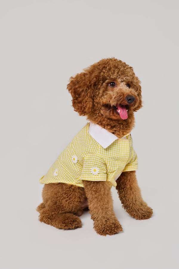 Daisy Sunshine Shirt