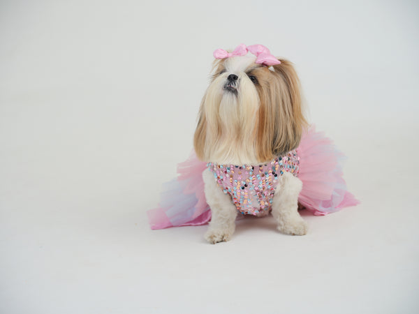 Unicorn Tutu Dress